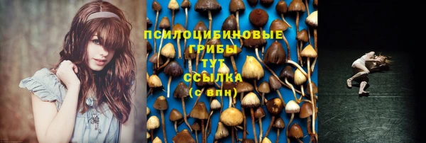 PSILOCYBIN Чердынь
