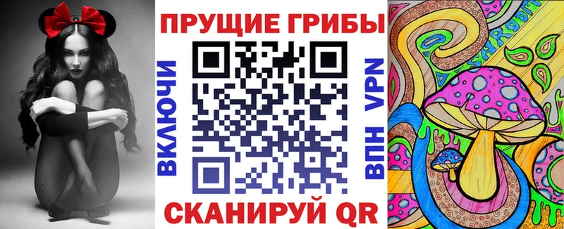 Купить закладки  Ядрин  Псилоцибиновые грибы Psilocybine cubensis 